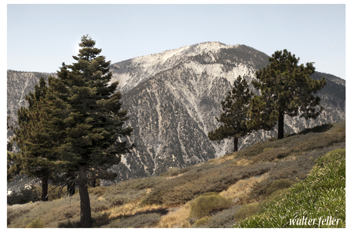 Photo of mt. Baden Powell from Inspiration Point